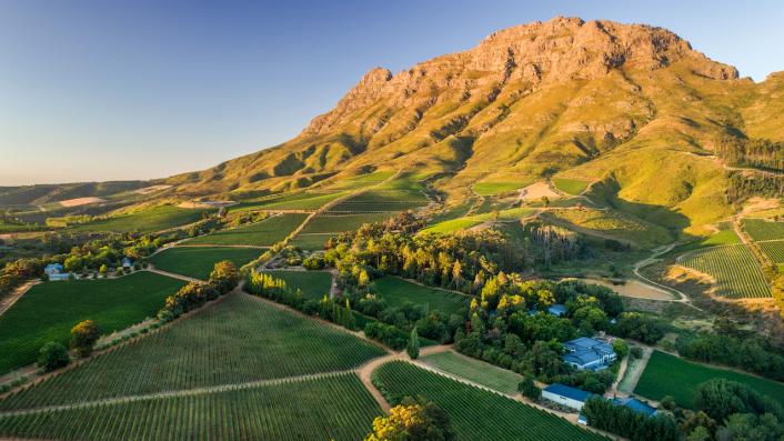 なぜ今南アフリカのワインを買うべきなのか　10 Oct 2020